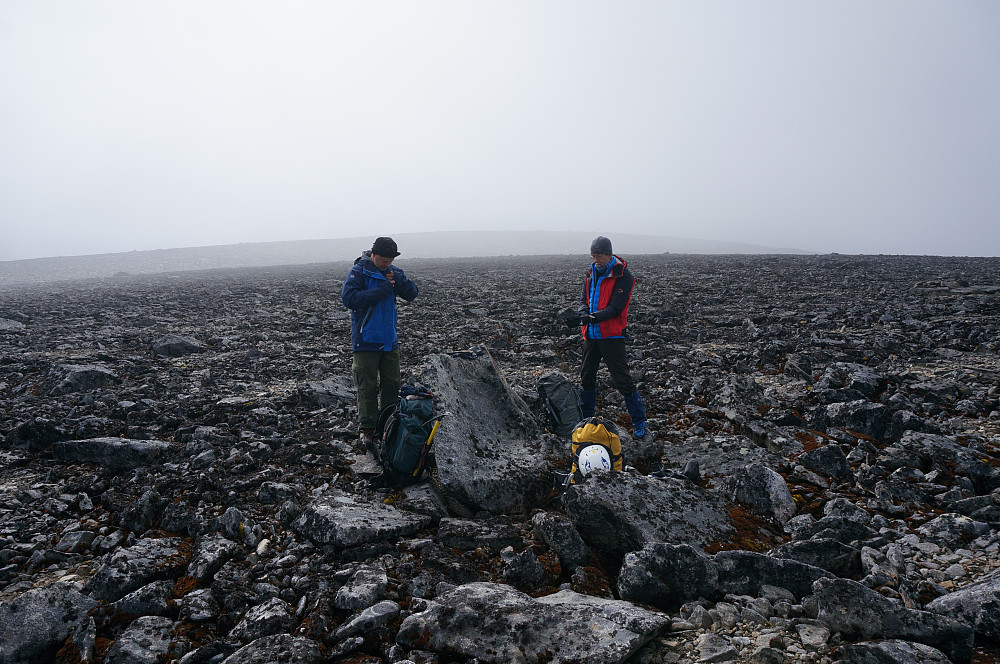 Flat steinørken i retning mot Galdhøe. Foto: Odd Petterson
