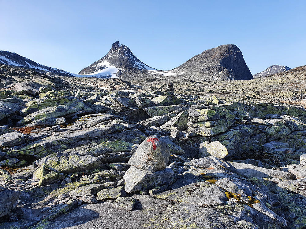 Skaret mellom Mjølkedalstinden og Olavsbunuten