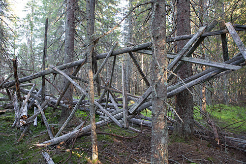 Tårnet over trigpunktet i Borgåsen har forlengst fylt sin funksjon. Det forteller sin tause historie om oppmålingen av landet, inntil det er slukt av skogen.