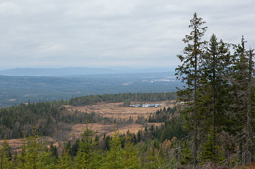 Utsikt nordvestover mot Risbergsmarka.