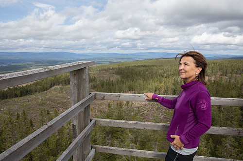 Kirsten på toppen av tårnet. Utsikt nordover.