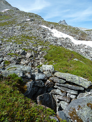 Dyregrav i Hoemsdalen