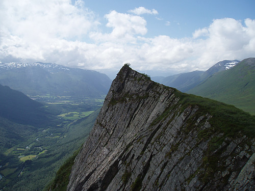 Husnebba