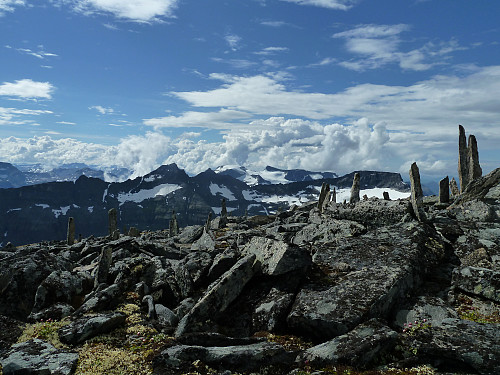 På Tåga (Såtbakkollen på eldre kart). 
Trolla, Skarfjellet og Vinnufjellet i bakgrunnen.