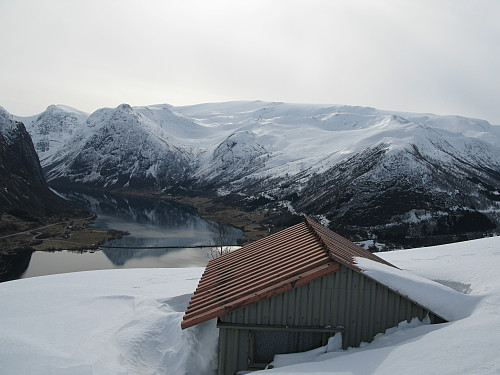 Skarfjøla.