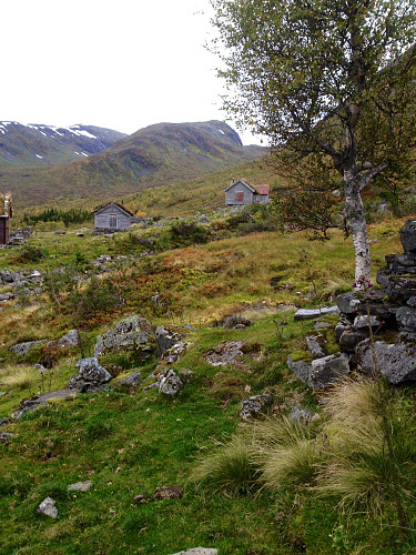 Husstøylen