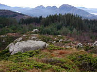 Irva_20151108_563f95392aa41.jpg