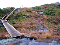 Irva_20151108_563f9547de6e5.jpg
