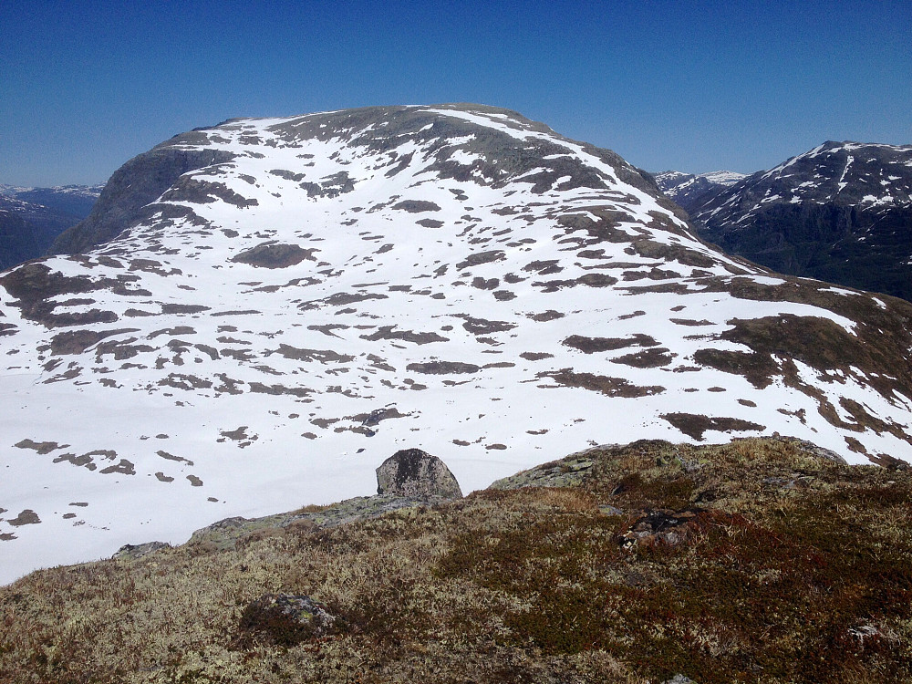 Skjorta