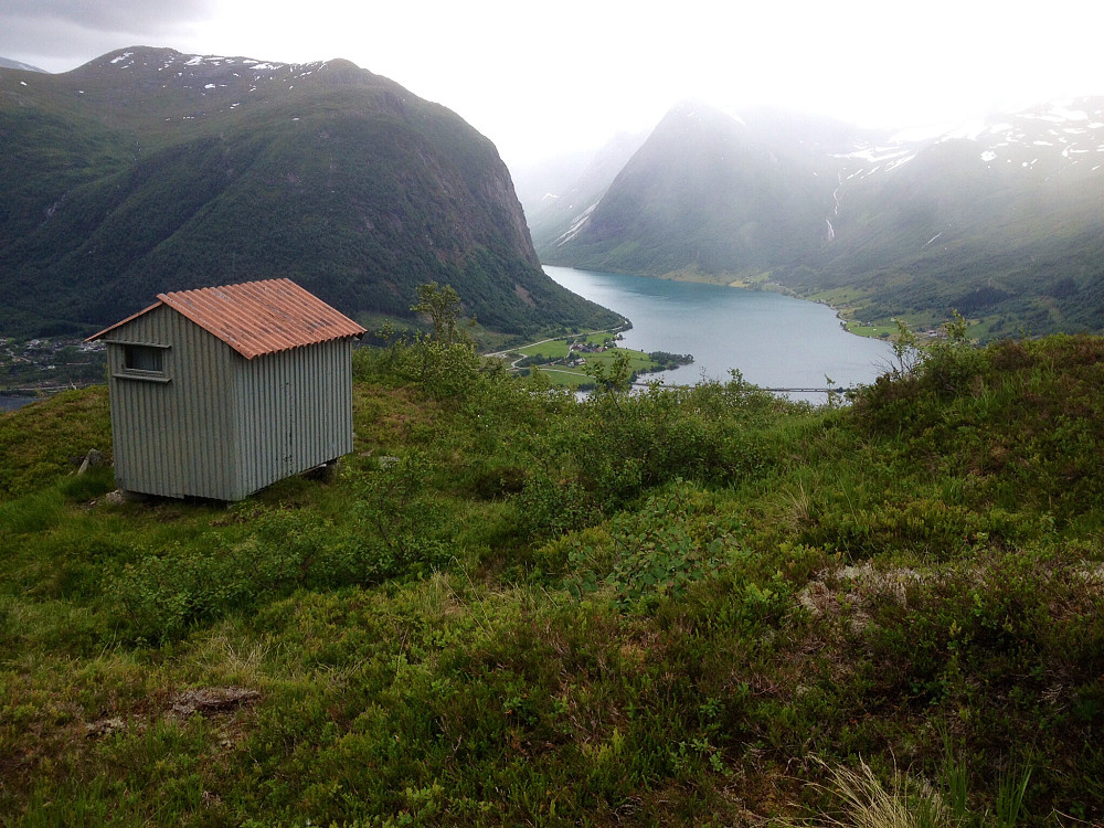 Skarfjøla