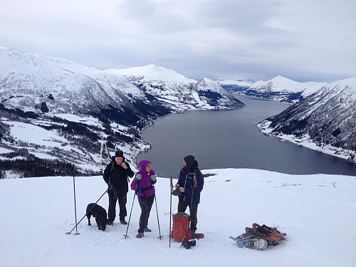 Normann,Sonja,Pelle og Heika . 