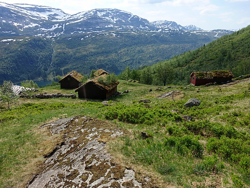 Nes stølen.
