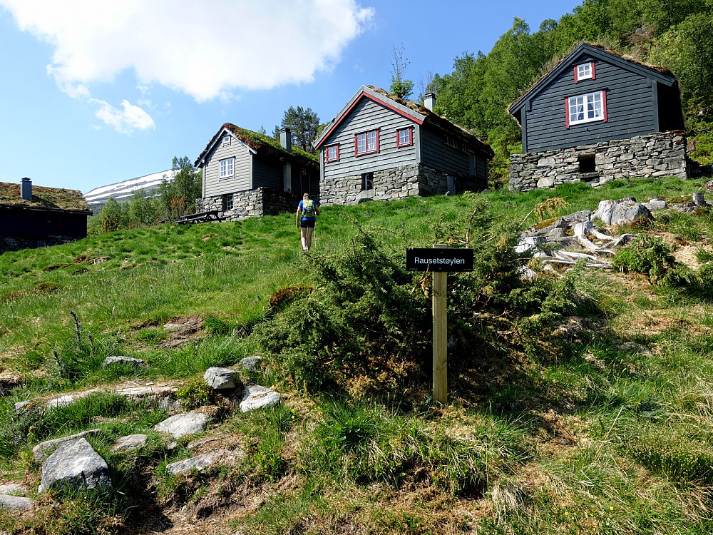 Rausetstøylen