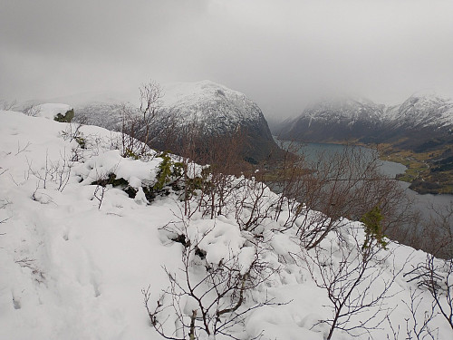 Utsikt innover Kjøsnesfjorden.