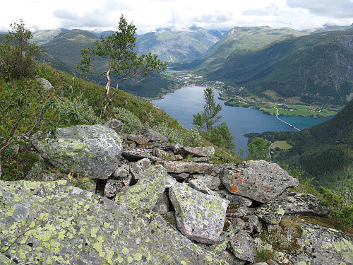 Ved tuftene av ei fjelløe ,under Orkja