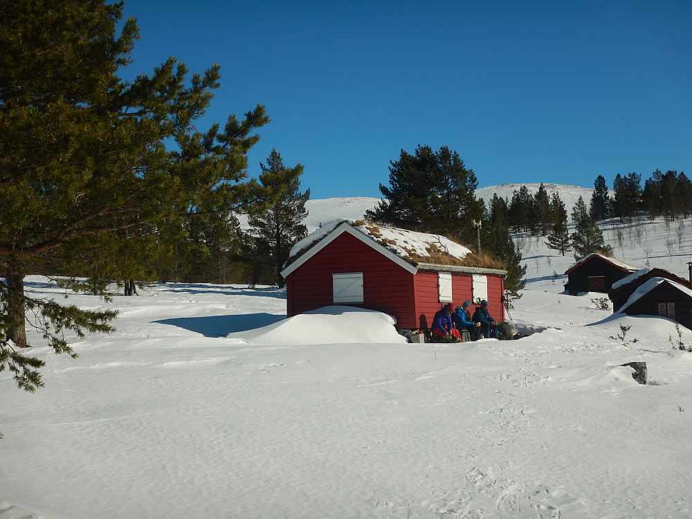 Solveggen ved eit av dei 7 stølsbuene på Kvitingsmorki.
