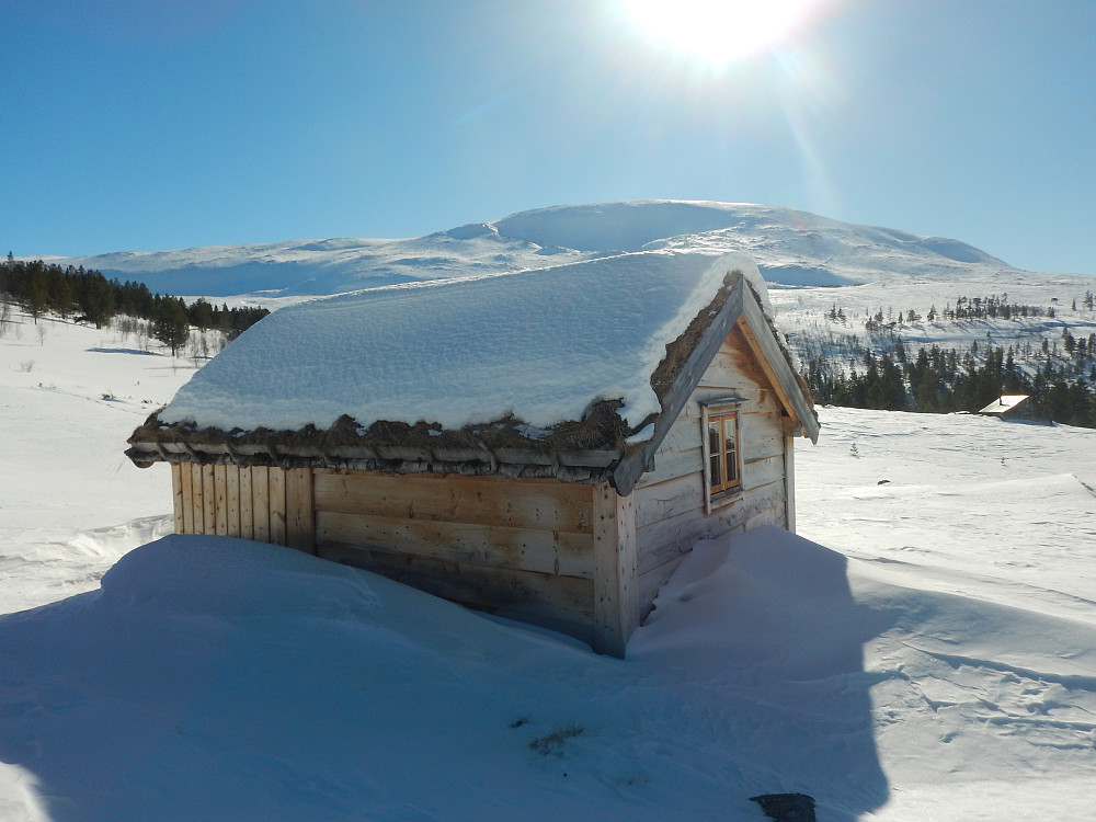 Nyare stølsbu (frå 2010) i gamal stil. Høganos, 1520 moh. i bakgrunn.