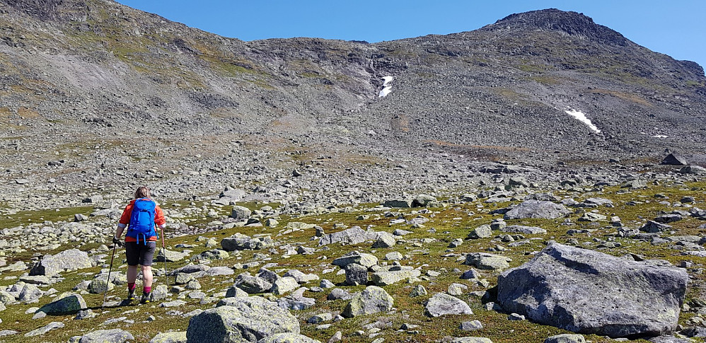 Oppstigninga mot fjellemassivet som Slettmarkampen ligg på.