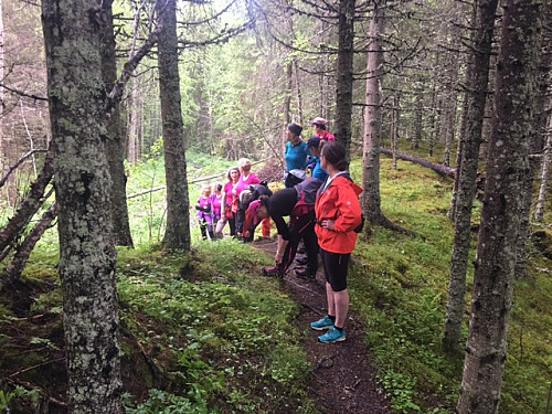 I urskog på vei opp canyonen.