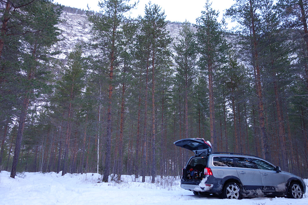 Perfekt parkering inne i furuskogen.