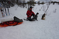 Første test av to-spann for Rigel og Varg. Det trengs nok litt mer trening.. :-)