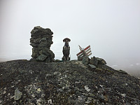 Rigel er tåkefyrste på toppen av Jøngfjellet.