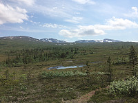 Endelig opp av skogen og fjellene åpenbarer seg. Fra venstre: Sunndalshøgda, Storskarven og Litjskarven.