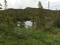 SturlaS_20150709_559db85ed61c6.10.22.jpg