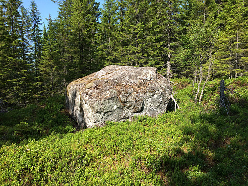 Karakteristisk steinblokk er toppunktet på Klauvsjøåsen.