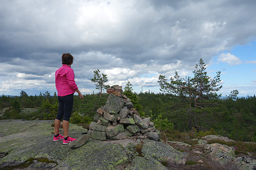 Fra Vestfjellet med utsikt mot Skibergfjellet.