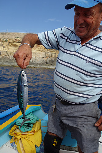 En fornøyd Captain sikret middagen sin på turen. Fisken kalte han Baby Tuna og var akkurat passe stor mente han.