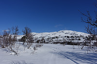Resfjellet sett fra hytteveggen.