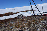 Dagens første rast i starten av bakkene opp fra Gjørdøldalen. Skiene står og tørker i sola for å få på seg feller mens Rigel furter..