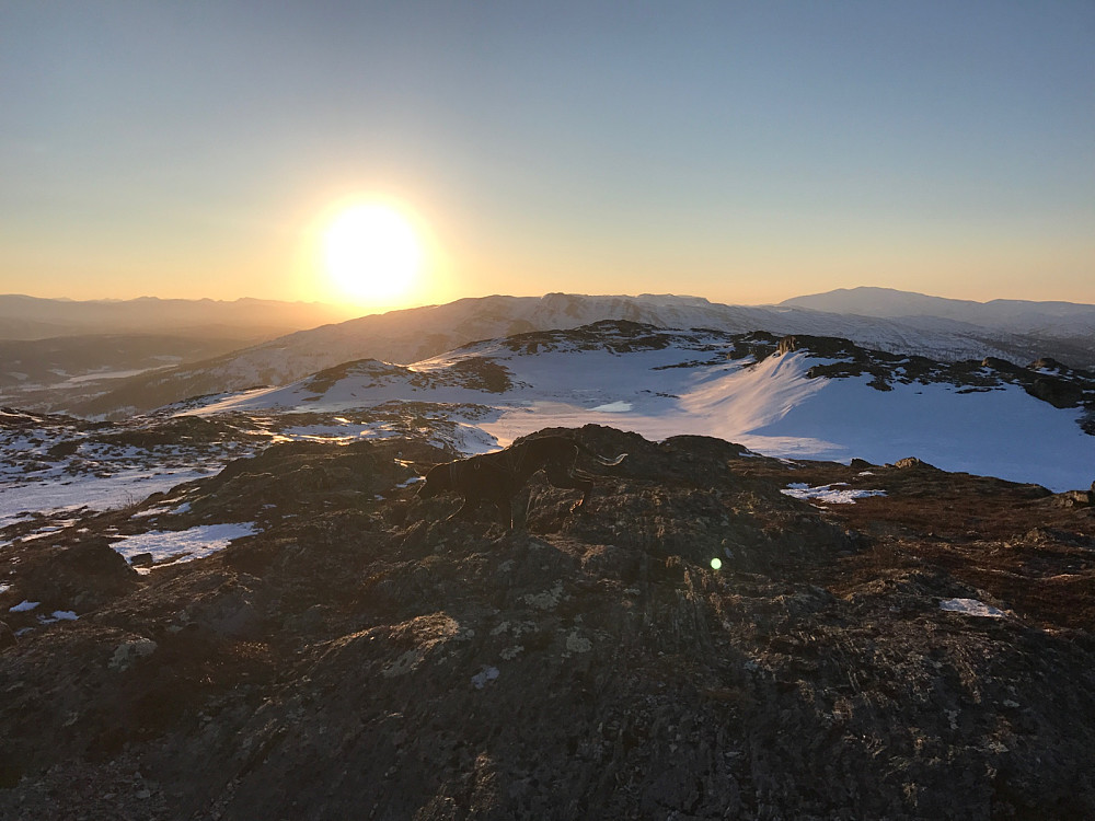 Vorsteh i solnedgang. Fra toppen av Slettfjellet mot Jolifjellet.