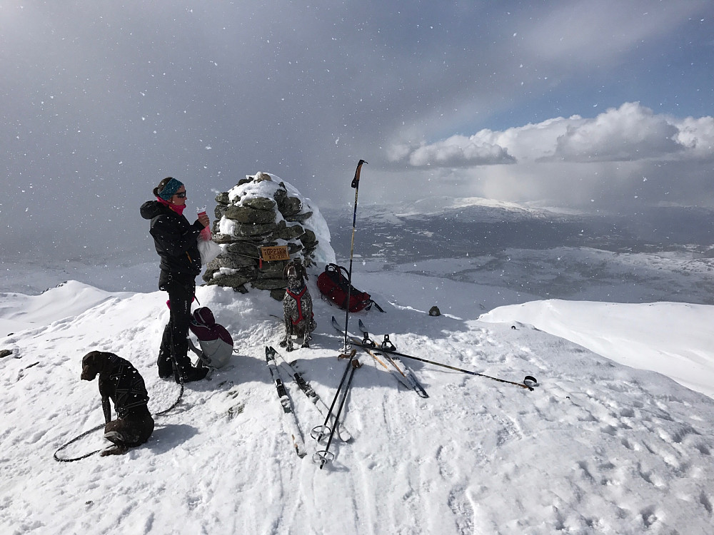 Snø og begrenset sikt fra toppen. Signering av toppboka og tørre klær var det eneste vi tok oss tid til.