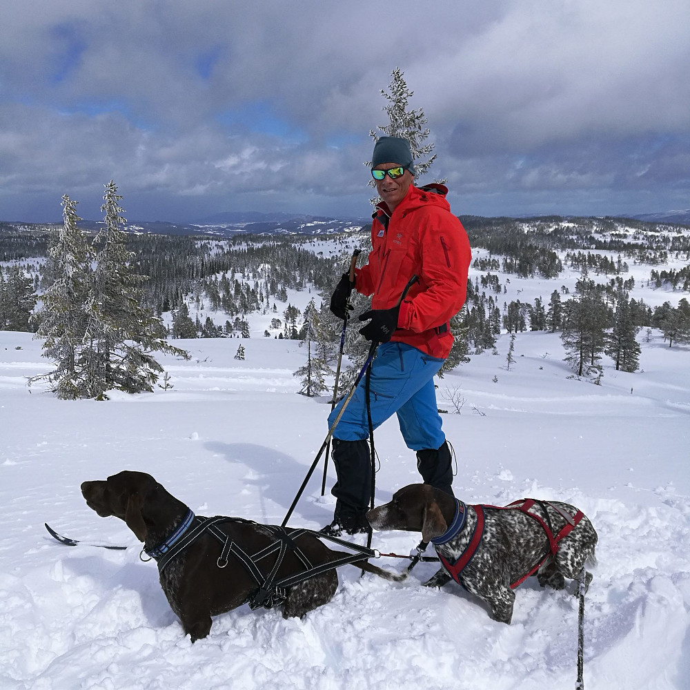Godt med nysnø på toppen av Elgshøgda.