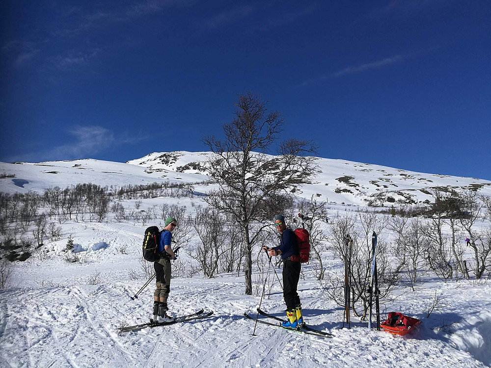 Vi har lagt om til toppturutstyr og er klar for bakkene opp mot toppen. Pulk og fjellski blir stående ved Høyløa.