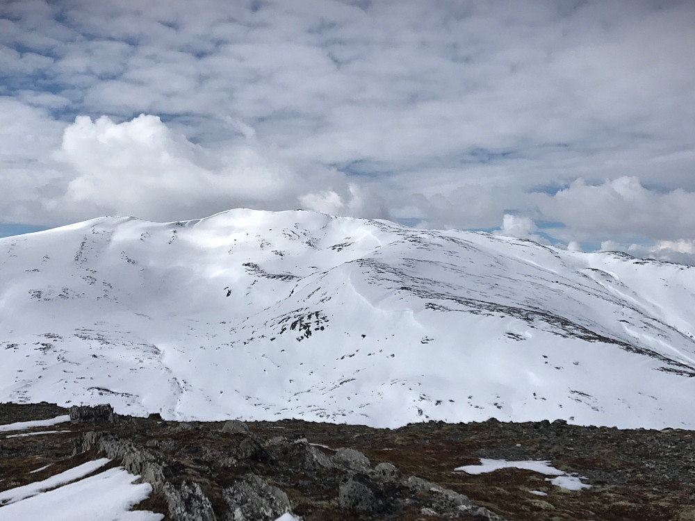 Ingen varde på toppen av Tverrfjellet. Her er det Ruten som pryder bakgrunnen. Massevis av gamle skispor ned bollen fra toppen.