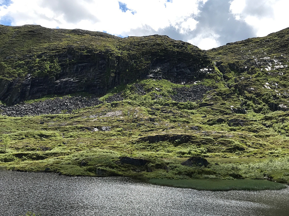 Oppgang mot Skavlen fra nord, høyre side. Etter å ha studert mulige linjer valgte jeg denne varianten. Bratt men helt greit, også for hundene.