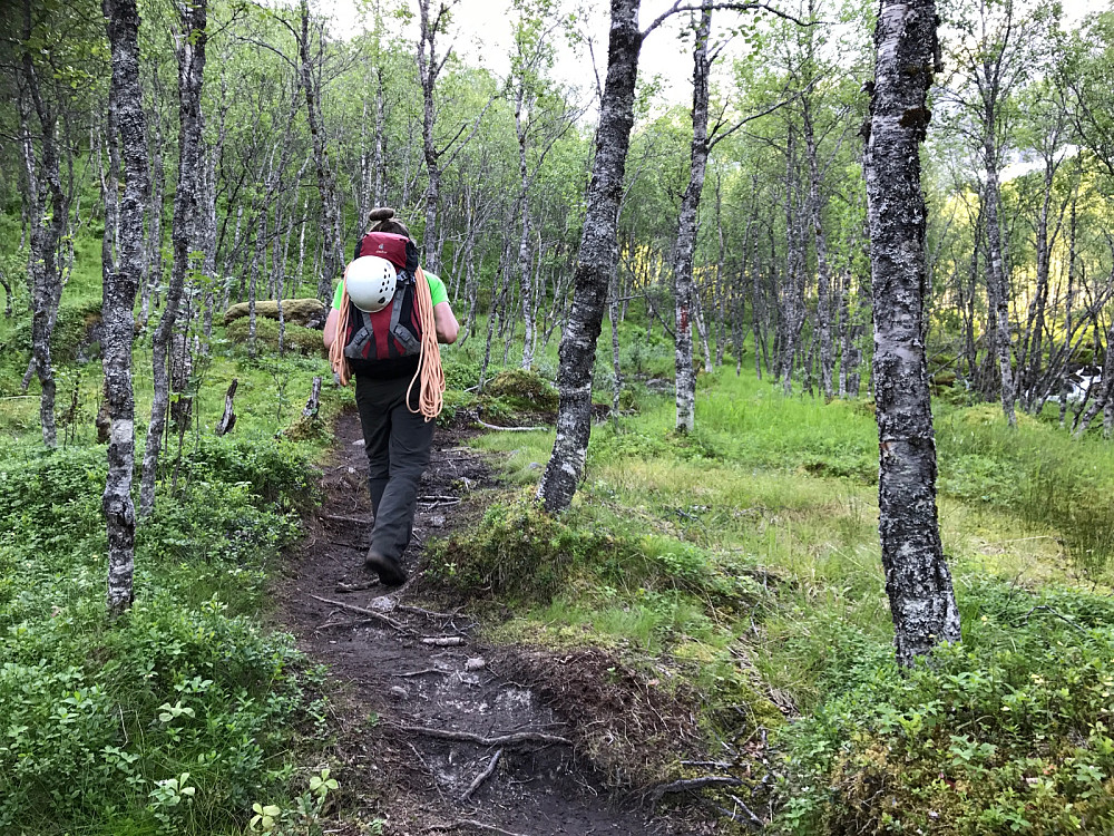 Starten: Lang anmarsj (3 timer) som starter behagelig på god sti gjennom skog i skyggeland og med en liten bris. Det blir brattere etterhvert men ikke avskrekkende.