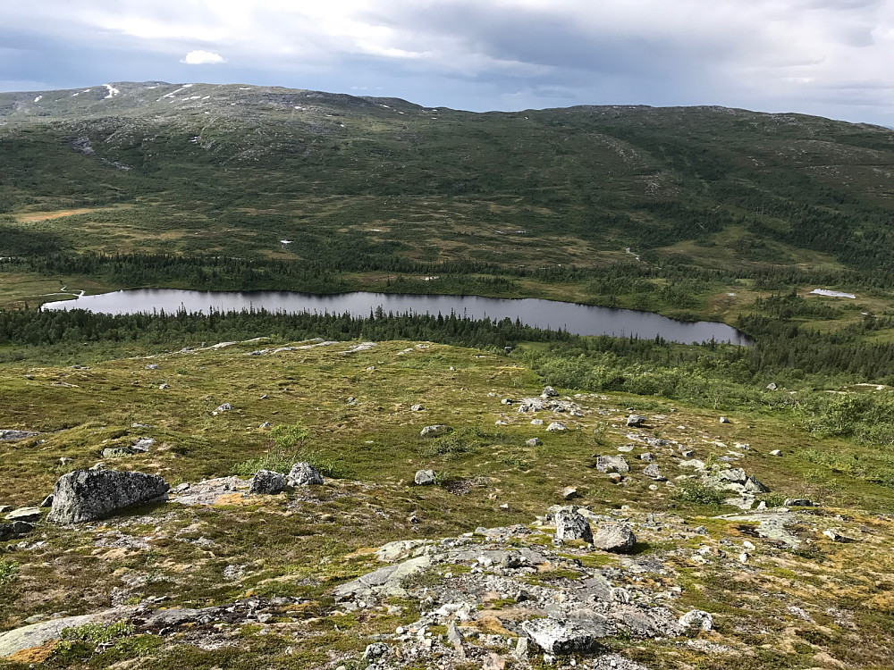 På returen hold jeg høyden helt til siste morenerygg ned mot Telttjønna. Tror nok det lønte seg men det blir tungt opp her på starten av turen.