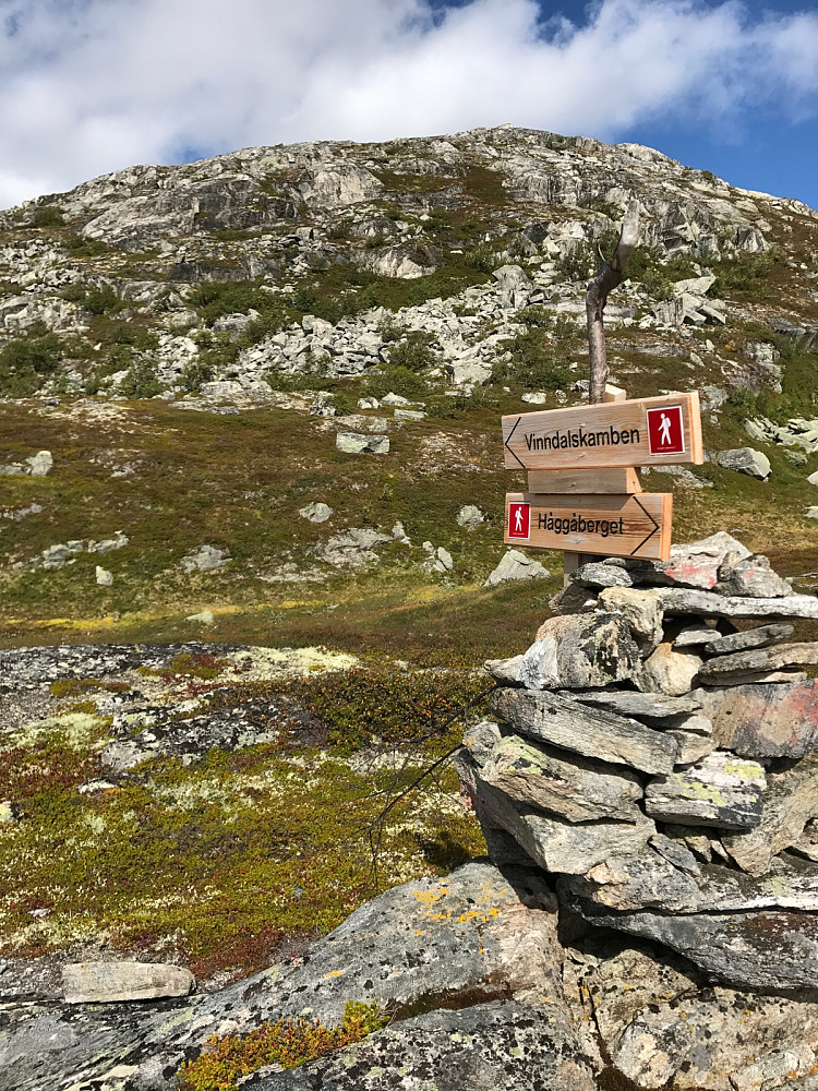 Oppe på sadelen deler stien seg. Jeg dro til høyre der det går enkelt frem til Håggåberget.