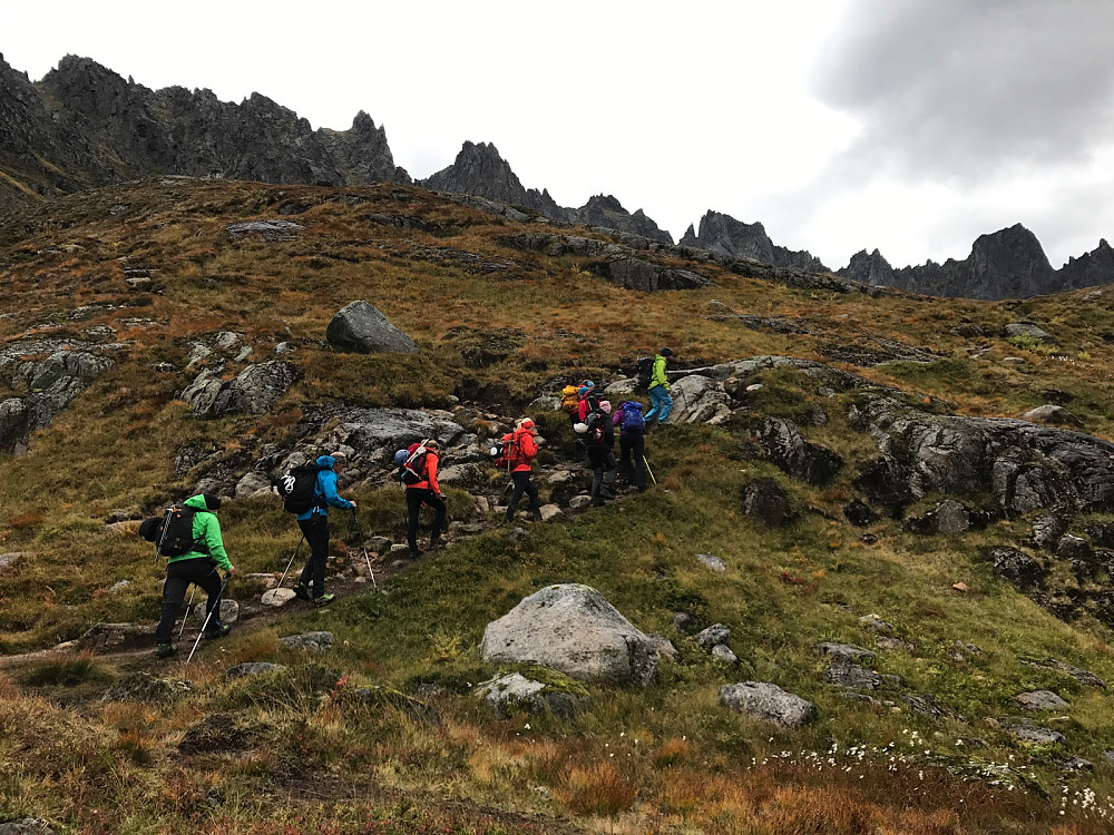 Sprek gjeng på vei opp mot Storevatnet. Tanngarden begynner å vise seg frem!