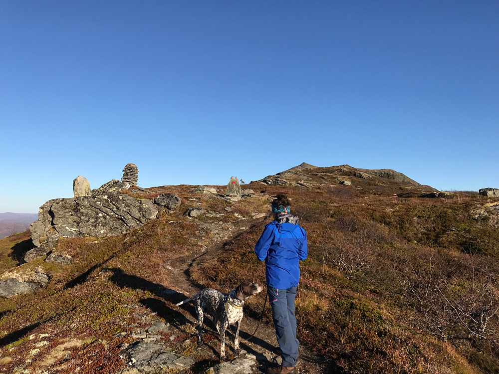 Endelig oppe på fjellgrunn.