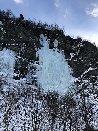 Fet is på Passop og de andre isene i Vinstradalen.