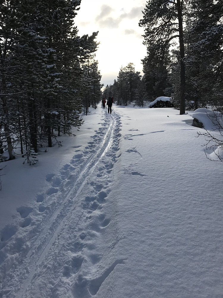 Den kritiske brua over Feragselva er krysset og vi går et stykke nedover Damveien.