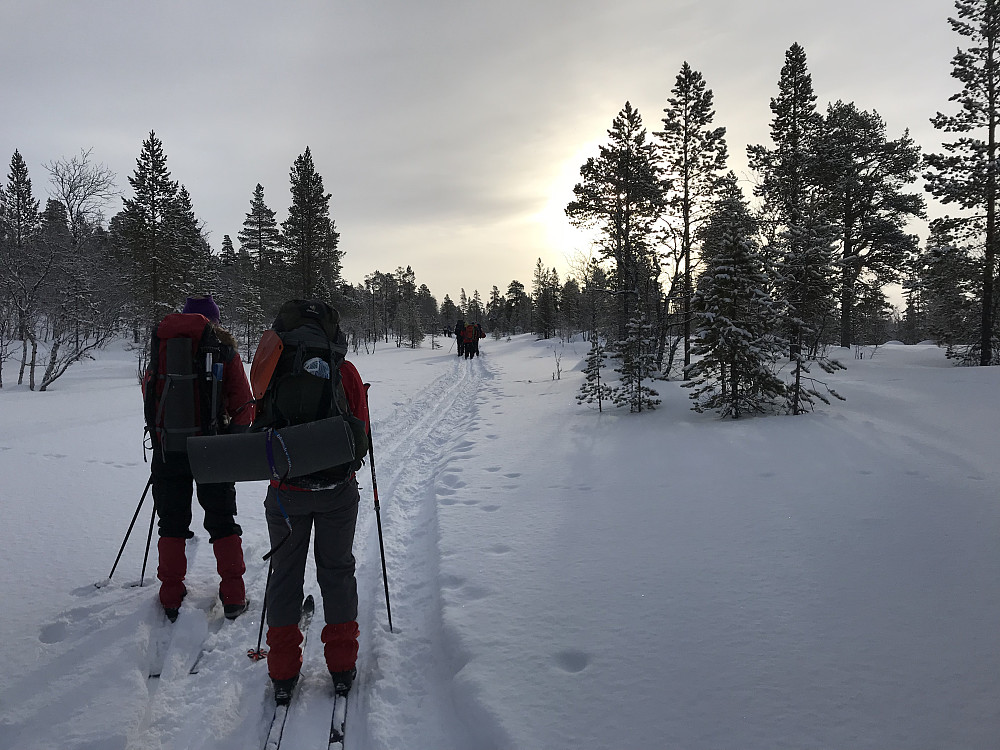 Etappe tre avsluttes med en nydlig tur gjennom skogen fra Femunden til overnatting på Røvollen.