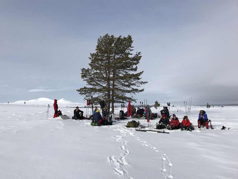 Lunch nær Falkfangerhøgda på etappe fire. Buhøgda er mektig kulisse i bakgrunnen.
