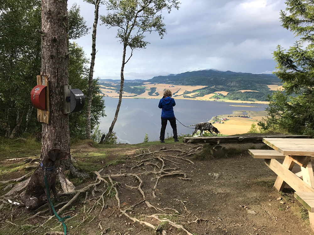 Nyter som snarest utstikten fra Øyberget.