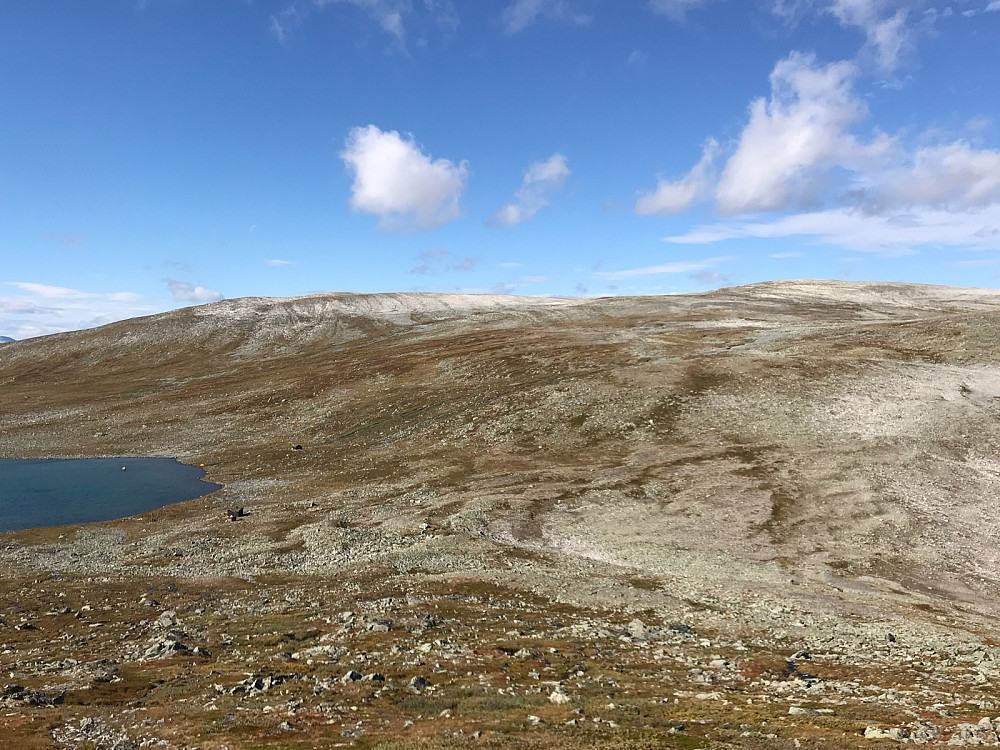 Idyll ved Springtverråtjønna.
